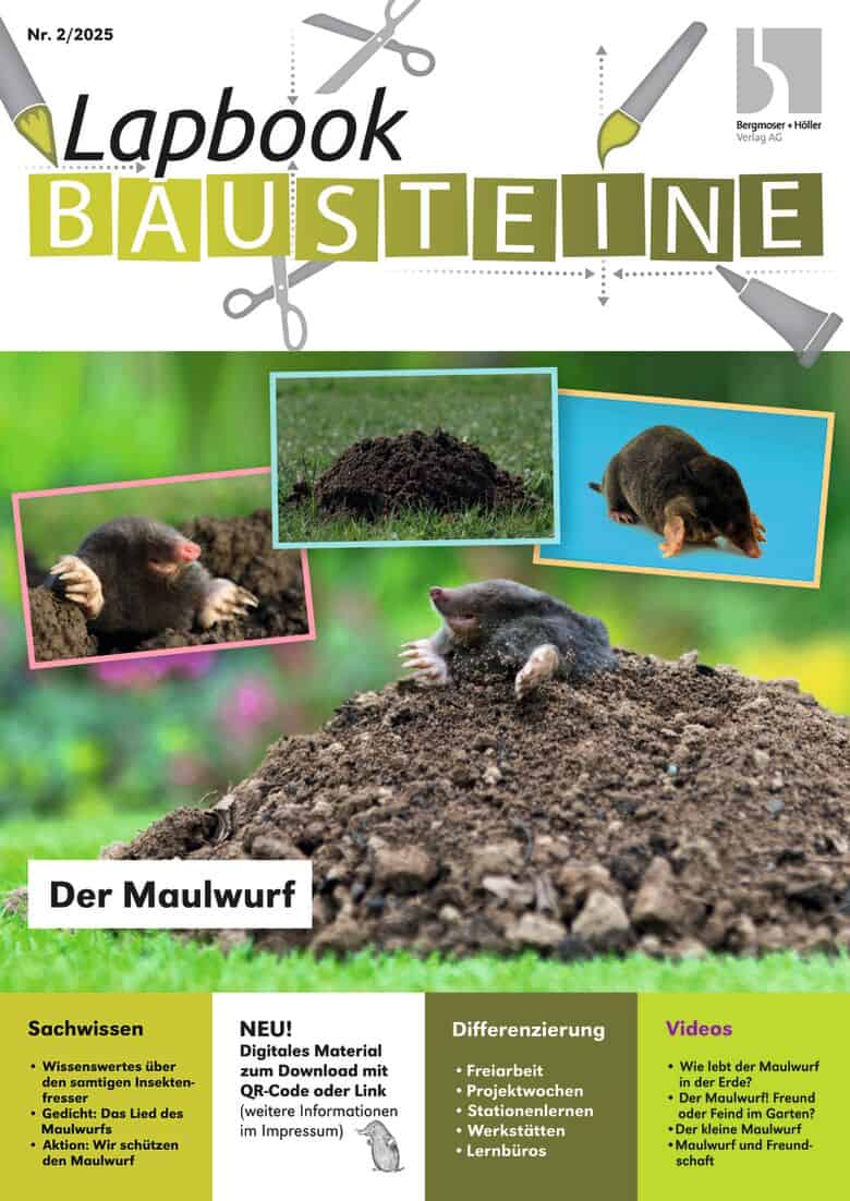 72-2502-Der_Maulwurf