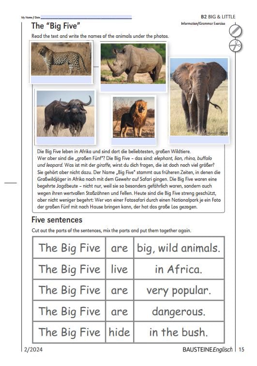 The Big Five