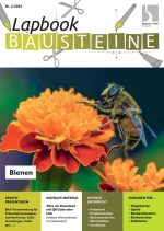 Lapbook Bausteine Bienen